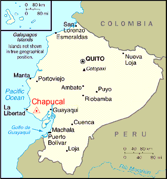 chapucal.gif (21986 bytes)